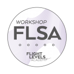 Badget FLSA - Flight Levels System Architecture